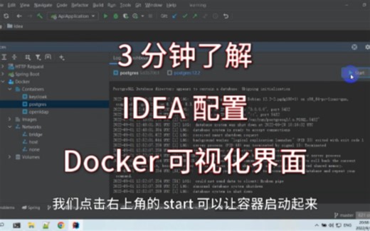 IDEA 配置 Docker 可视化界面