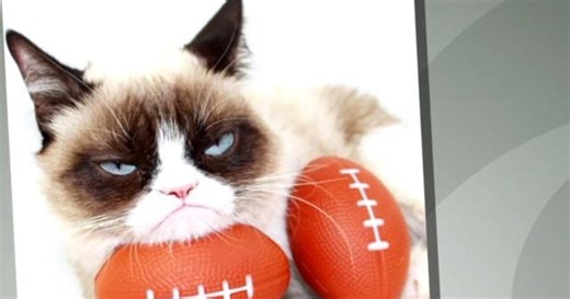 Grumpy Cat dies at age 7