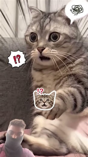 raste me doll 😱 #ghost #trending #bhoot #bhutiya #cute #cat #viral #shorts #short