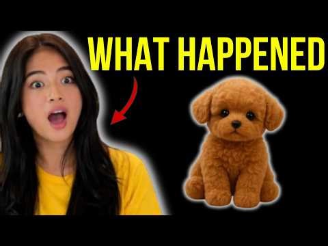 WUFFY ROBOT PUPPY REVIEW – WHY THIS AI-POWERED ROBOT DOG IS BECOMING A FAVORITE FOR SMART LIVING