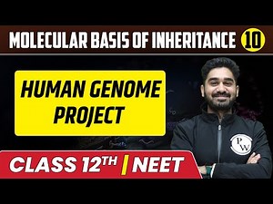 Molecular Basis Of Inheritance 10 | Human Genome Project | Class 12th/NEET