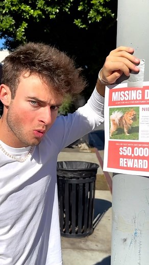 Topper Guild | This took all day 😂 | Instagram