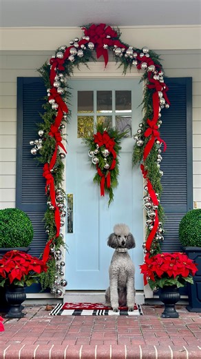 The front porch is dressed and ready for guests for the holidays. I don’t know that I have anyone coming, but Lily is ready and waiting too! Merry Christmas from me, Mr. C and Lily! #christmasporch #christmasporchdecor #christmasentryway #standardpoodle | Celebrate & Decorate
