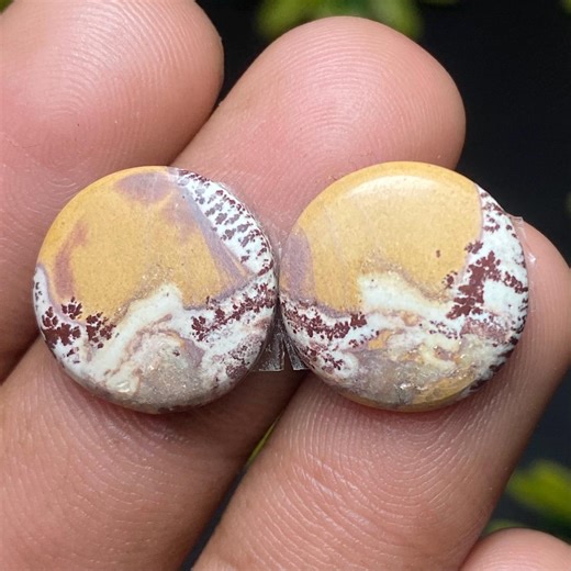 Natural Sonora Dendrite Rhyolite Gemstone Pair, 15x23mm | 13 CTS Loose Cabochon for Jewelry Making - Etsy
