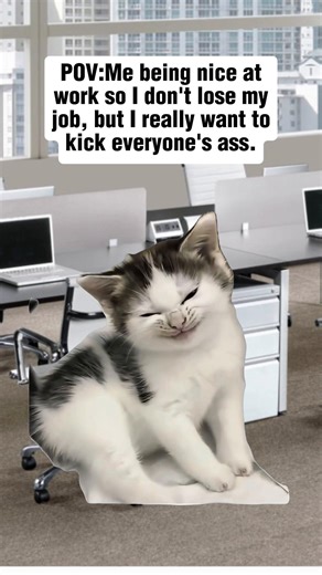 #Meme #MemeCut #fyp #work | memecut