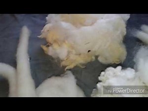 Make roving on hand cards without a diz // Learn to spin from fleece 3