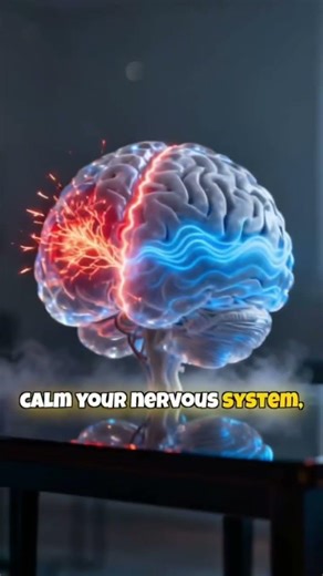 Created by neuroscience to calm your nerves and relax your mind. Only at Human Reprogram.