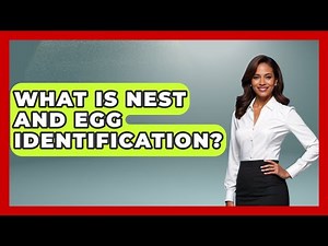What Is Nest And Egg Identification? - Bird Watching Diaries