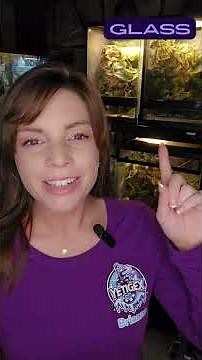 The Right Enclosure for Your Gecko