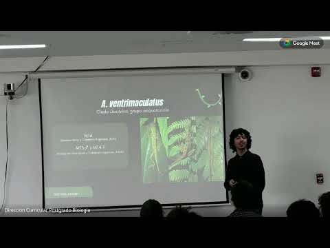 Simposios Trabajos de grado Pregrado en Biología 2025-2S