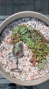 3 creative planter ideas that transform your backyard