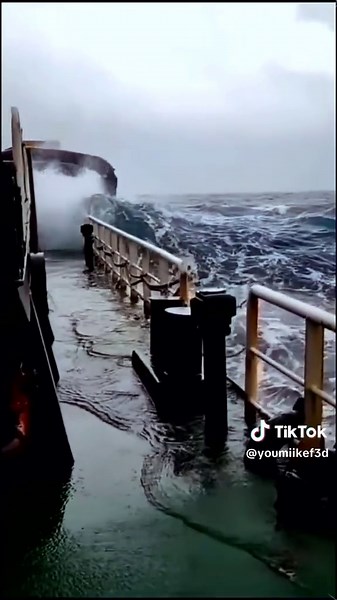 Sailor's Resilience Amidst North Sea Typhoons