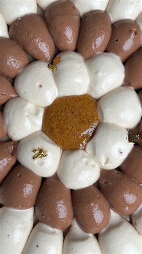 Tarte chocolat noisette 🍫🌰 - Pâte sucrée cacao - Fondant au chocolat - Praliné noisette - Namelaka noisette - Ganache montée au chocolat et noisette Toutes les recettes sur le lien dans ma bio 💬 #patisserie #pastry #dessert #tarte #tart #chocolat #noisette #hazelnut #chocolate #irvinpastry | Irvin Pastry