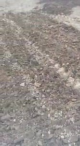 1K views · 18 reactions | Both main and junior track will be open for practice tomorrow (Wednesday) track will be watered , graded , ripped  thanks Lee | Preston Docks | Facebook