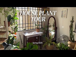 Spring 2025 Full Houseplant Tour with Plant Styling and Decor tips !