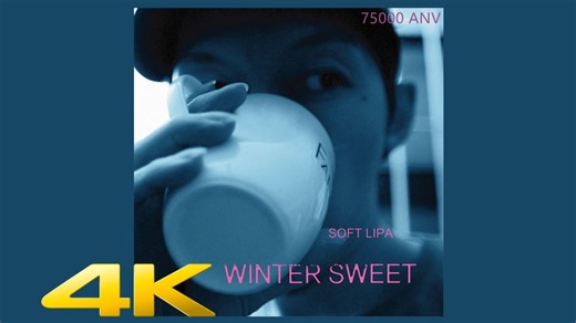 Winter Sweet-蛋堡 (大杨Jens Remix)【75000ANV/B站最高音质】