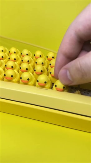 Duckeys™ on Instagram: "Building the ULTIMATE duck keyboard 🤯 Share this with someone who should buy this 🤣 Shop the quackey now at Duckeys.com #toy #Artisankeycaps #Cherrymx #Customkeyboard #Customkeycap #fidgettoy #Gamer #Gaming #keychain #Keyboards #Keycap #Keycaps #Mechanicalkeyboards #Mechkeyboard #Mechkeys #Pcgamer #Thatclickyfeeling #funny #quack #duckeys #duck #office #fidget"