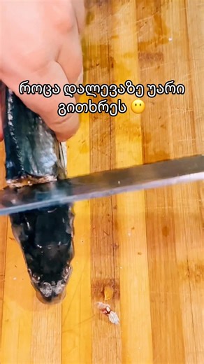 💯 | Ludis Sakhli Bodbiskhevshi