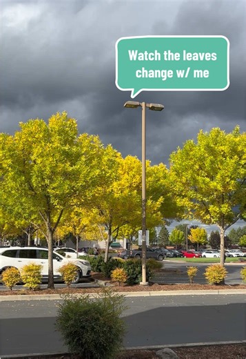 Let’s all tee hee and pretend I didn’t post this like 4 months too late. I was BUSY okay?!? #pnw #autumn #nature #oregon