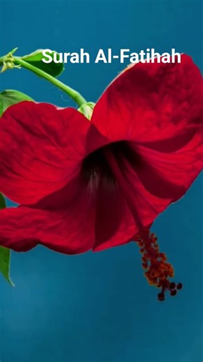 Surah Al-Fatihah Recitation
