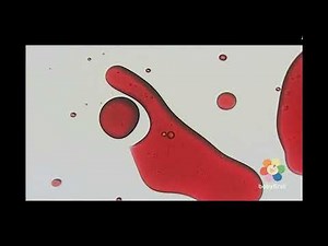 BabyFirst Color Symphony 5