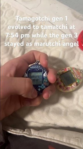 Tamatchi and maruten