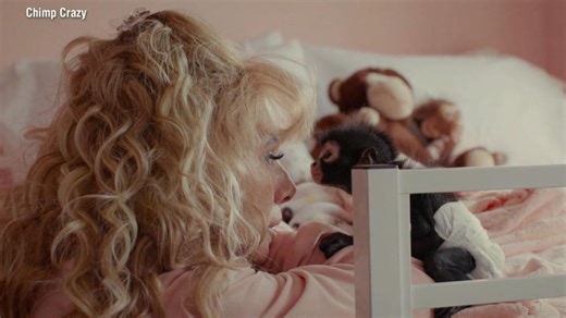 ‘Chimp Crazy’ shines spotlight on exotic animal obsession, draws controversy