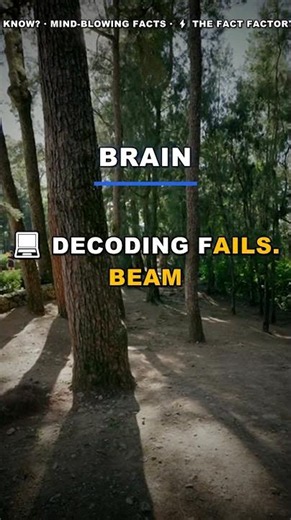 The Algorithm That Tricks AI