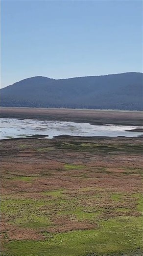 Mormon Lake, Arizona #summer