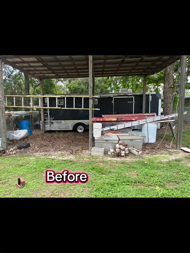 Mollycoddle Chickens- how the dream came true #mollycoddlechickens #chickens #backyardchickens