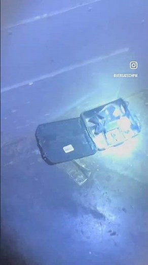 Rat Trapping Commercial Rodent Control | Versa-Tech Pest Management Los Angeles & Orange County