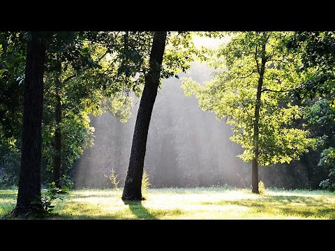 Aaron Neville - Morning Has Broken (Lyrics) [HD]