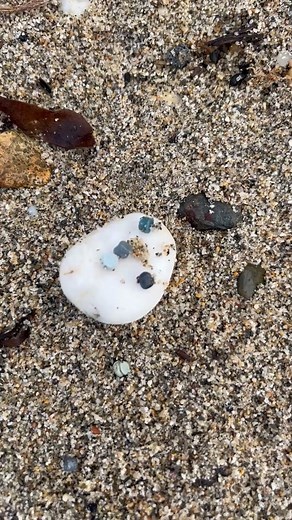 5.6K views · 101 reactions |  We know that significant spills of bio...