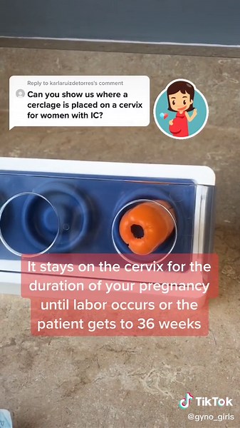 Gyno_girls on TikTok