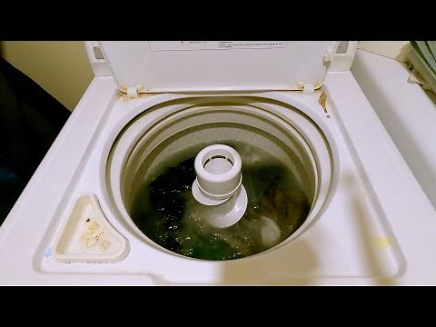 Maytag Performa Top Load Washing Machine [full cycle - 4K60]
