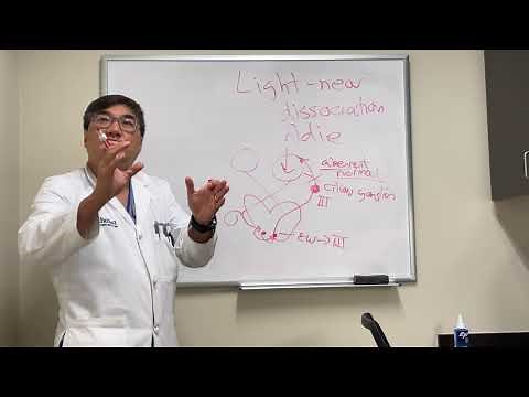 Light near dissociation in Adies pupil