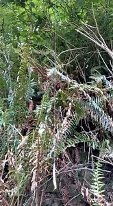 2.7M views · 1.6K reactions | Spider Man or Banana Slug? Banana...