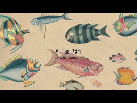 Cosmo Sheldrake - Hocking [가사해석/번역]