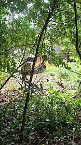 What We Did Left Them Completely Speechless… | Outdoors with Erik