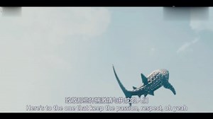 【2022卡塔尔世界杯】目前最好听的一首主题曲，《Dreamer》完整版MV