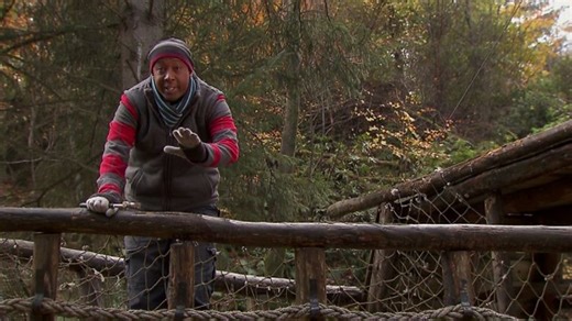 Faces and Feelings - Mental and emotional wellbeing: Video playlist - BBC Bitesize