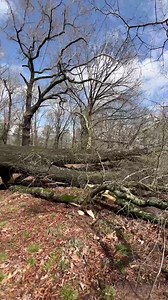 14K views · 191 reactions | A WAFF viewer submitted this video from Florence, Alabama. | WAFF 48 News | Facebook