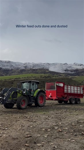 Farming Silage: Essential Tips for Summer Preparation