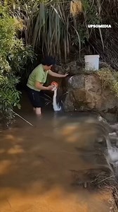 20K views · 90 reactions | She overdid it with the soap  | Rosa + | Facebook