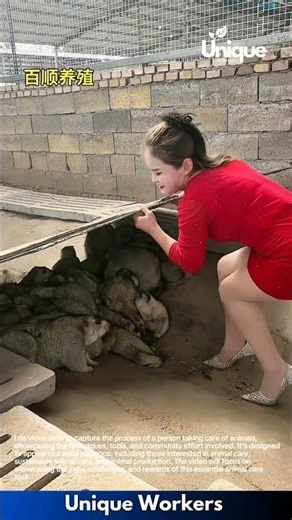 Animal care: people taking care of animals