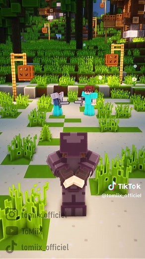 Construisez votre empire sur Tomiix en Minecraft
