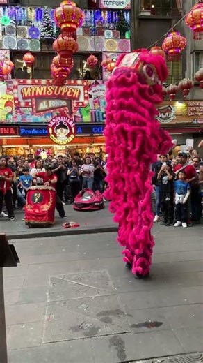 Mexico City Chinatown Dragon Performance (Barrio Chino CDMX)