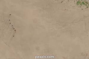 Free People At The Beach Videos