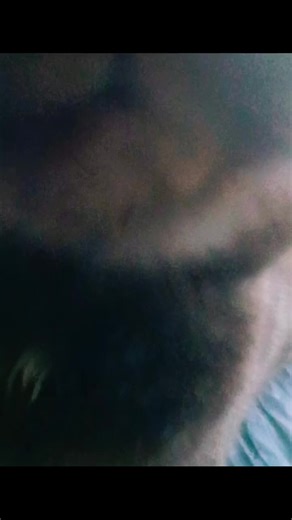 Serwis kota – naprawa ucha w 3 sekundy 🛠️🐱 Model: Kot 2.0. Ucho znowu działa ✔️😂 @chłopak_z_ursusa @Kondzio95 #cat #memy #śmieszne #dlaciebie #polskitiktok🇵🇱