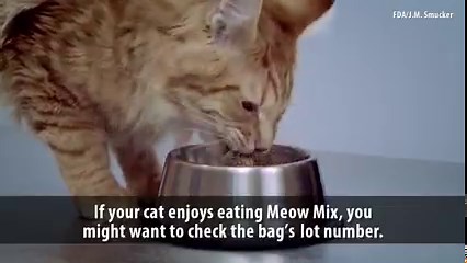 RECALL: Meow Mix recalled due to salmonella contamination sold at Walmart>> https://bit.ly/3wY2MKY | WSOC-TV